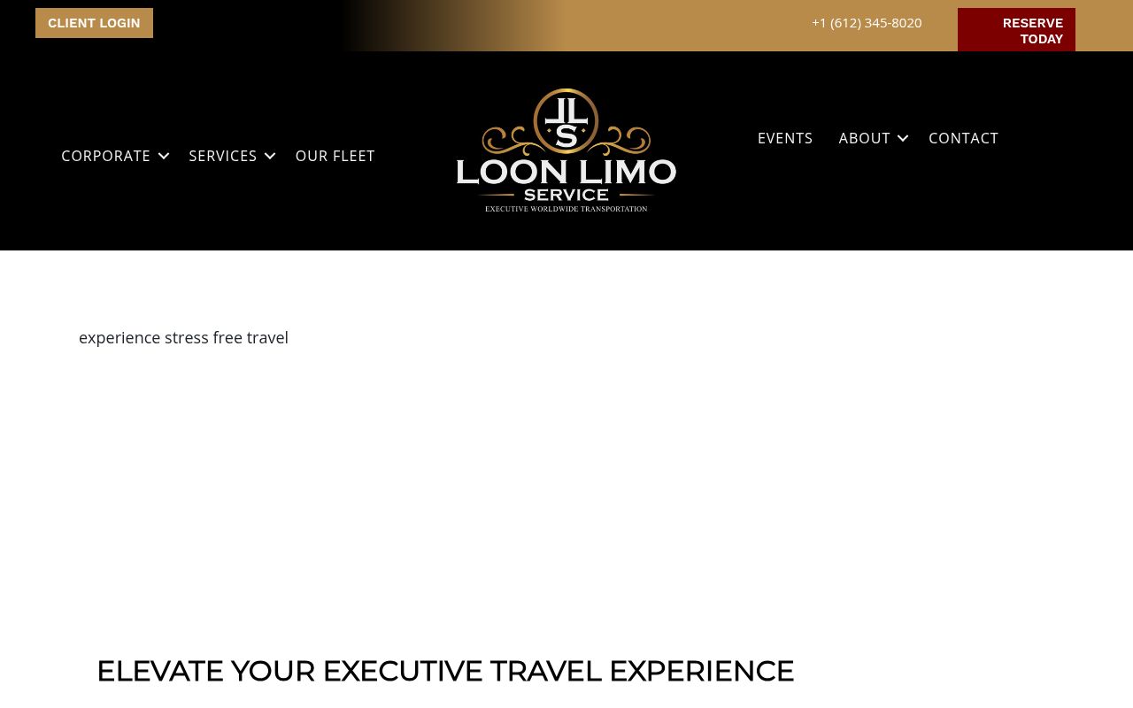 Loon Limo Service Image