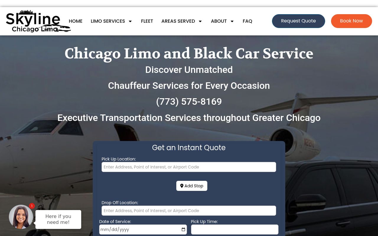 Skyline Chicago Limo Image