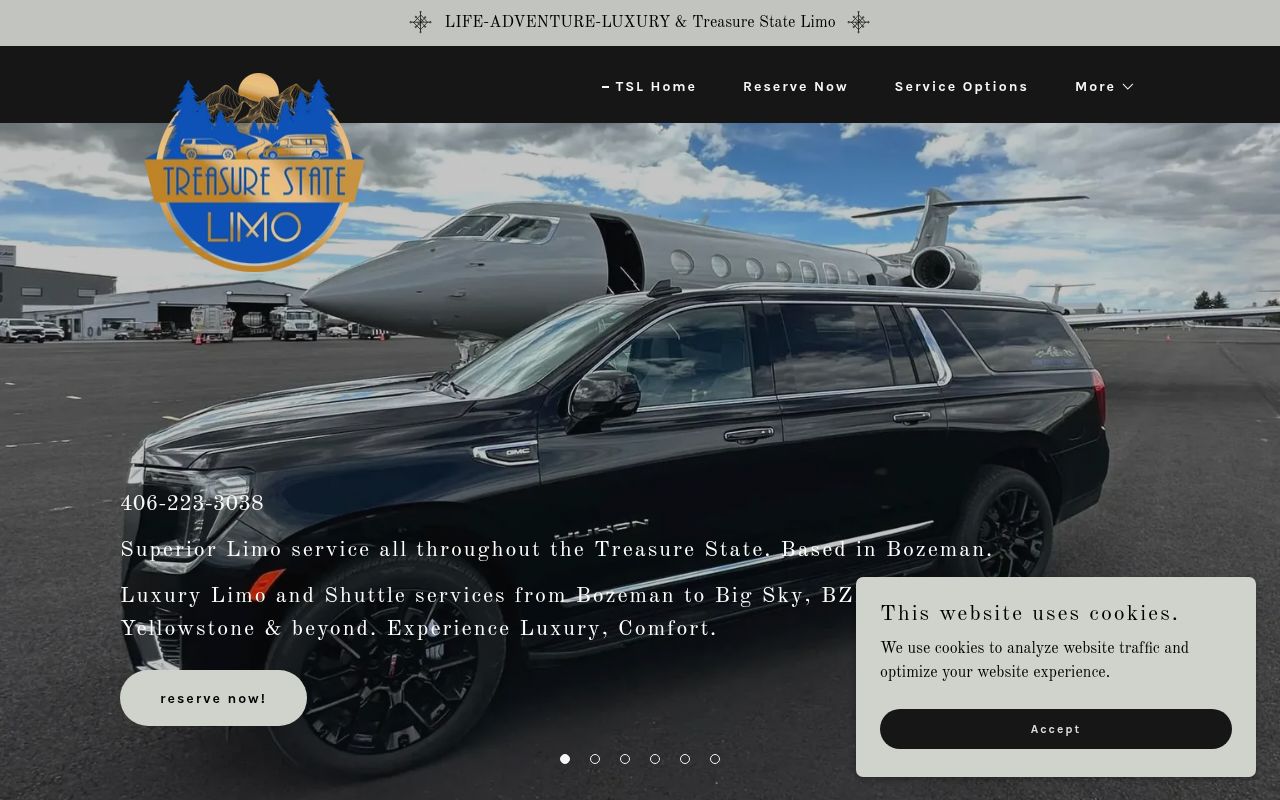 Treasure State Limo Image