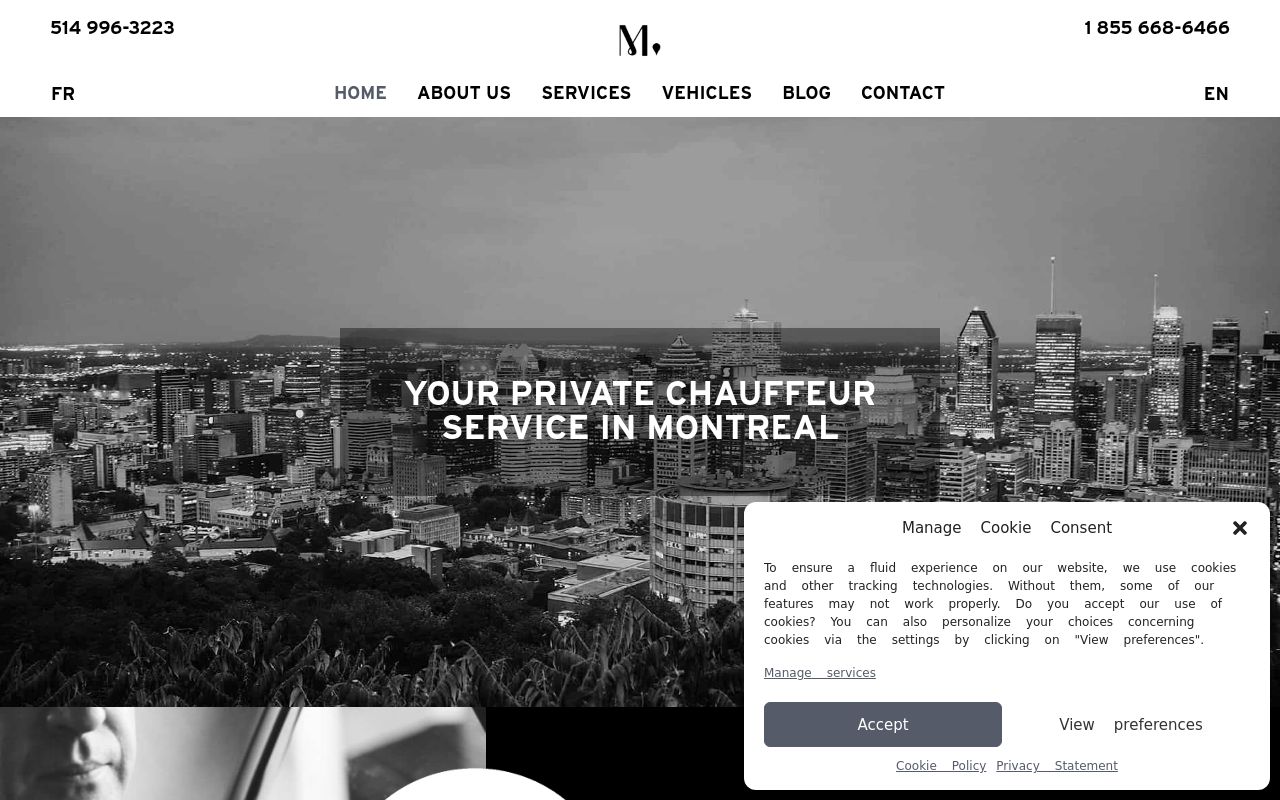 Mimo Limousine Image